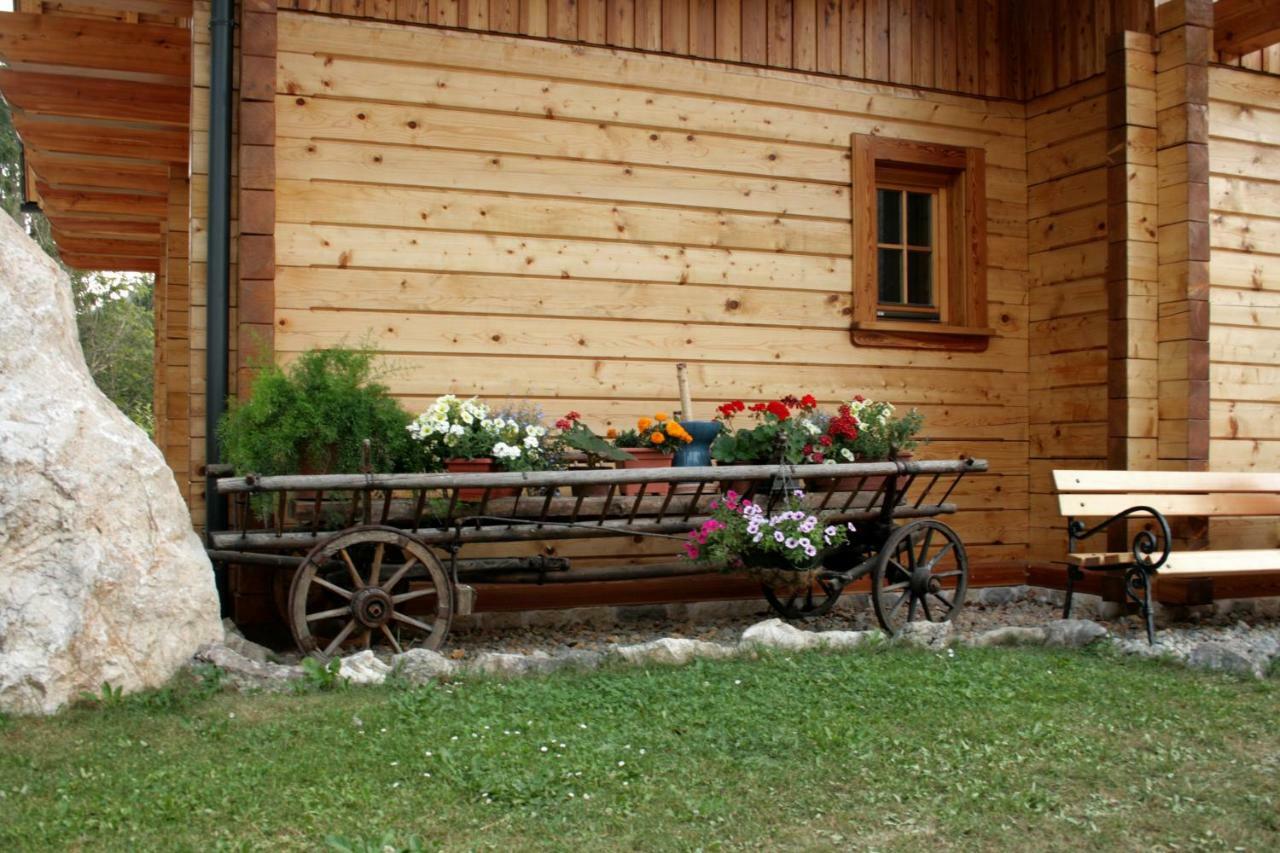 Apartment Pod Skalco Jesenice Luaran gambar